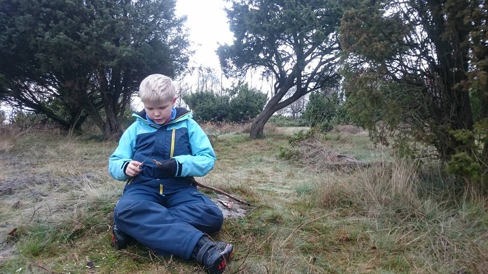 Erik november 2015