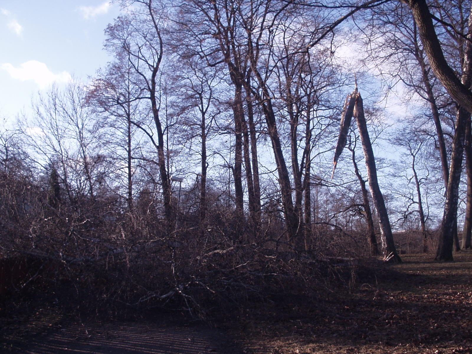 Norrköping bild 12